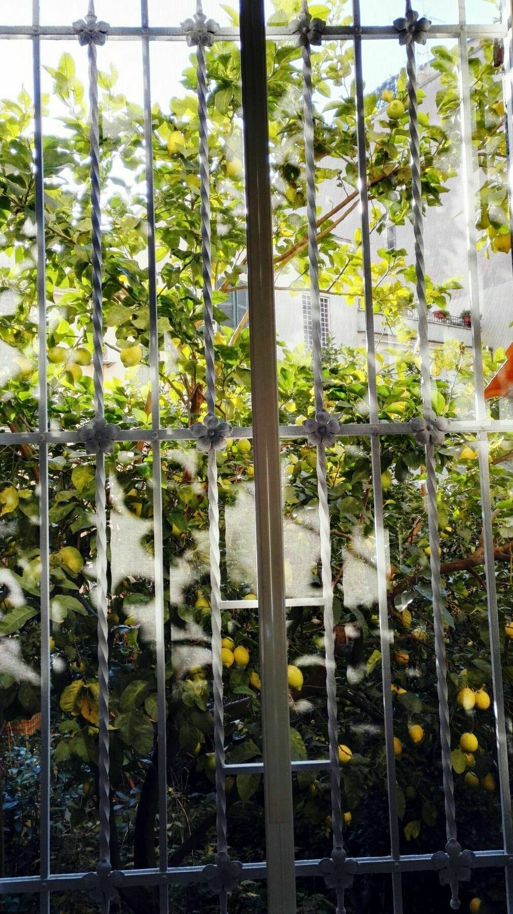 Appartamento Via Umberto Roma Esterno foto